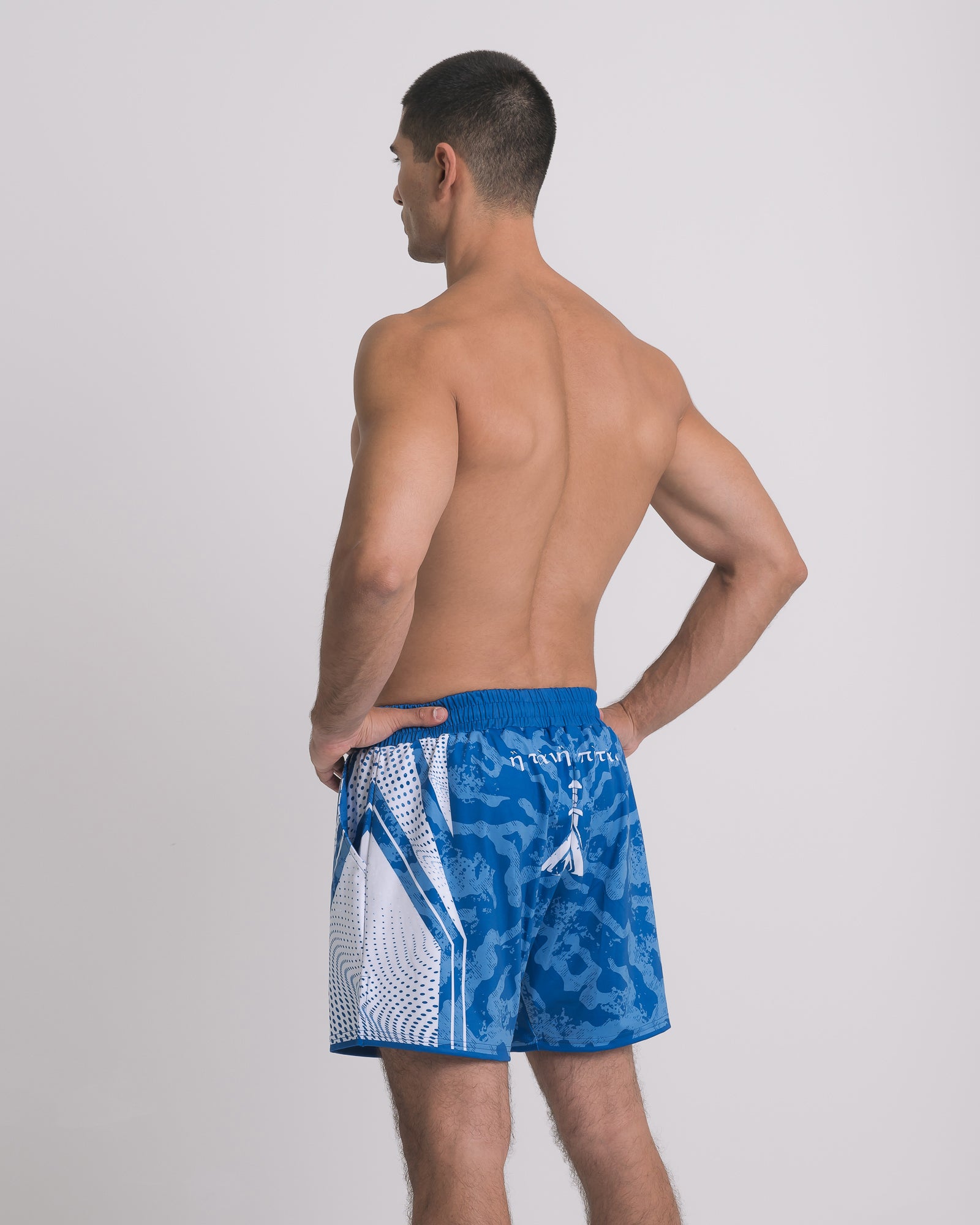 Fight Shorts (Greek Camo)